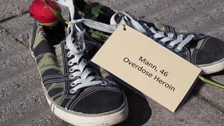 21167691_339278819858760_1944423514970872924_o