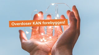 diego-ph-254975-unsplash